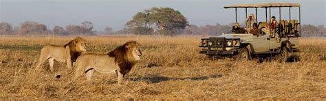 Kenya Safari Cost, 2021/2022, Kenya Safari Price Comparison