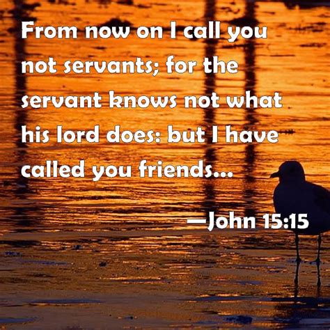 John 15:15 From now on I call you not servants; for the servant knows not what his lord does ...