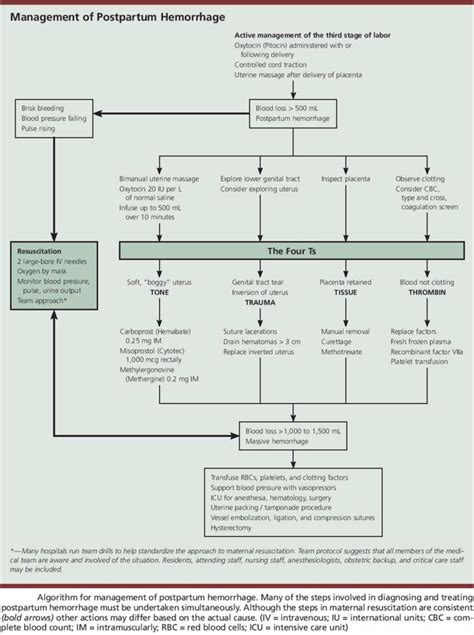 Boggy uterus, boggy uterus after birth causes, diagnosis, treatment & prognosis