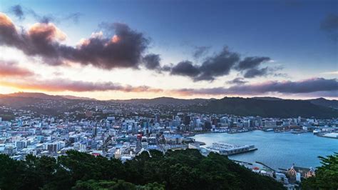 Visiter Wellington et ses incontournables | Tourlane