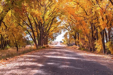 Western Nebraska Fall Colors Photograph by Marc Crumpler - Fine Art America