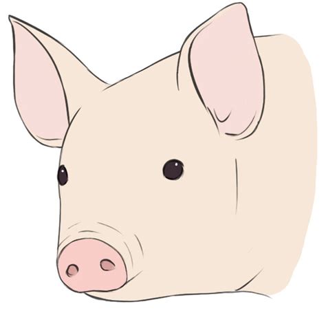 Cute Pig Face Drawing