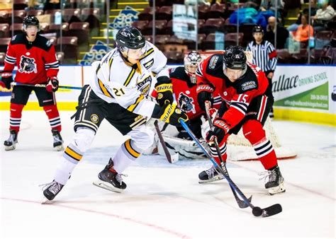 Bulldogs & Grizzlies Square Off in Annual Teddy Bear Toss | Alberni Valley Bulldogs