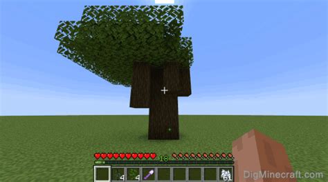 How to grow a Dark Oak Tree in Minecraft