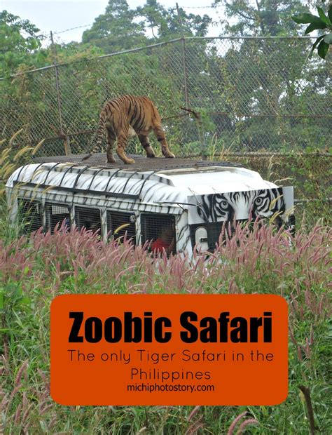 Michi Photostory: Zoobic Safari