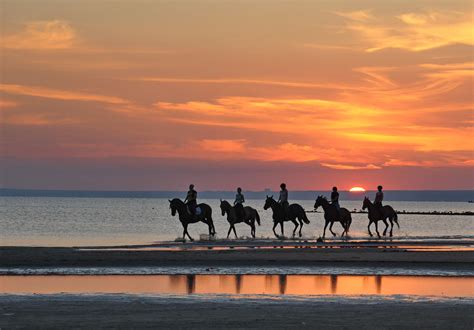 Where to Go Horseback Riding in North Myrtle Beach