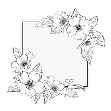 Flower Line Drawing Border Design | Best Flower Site