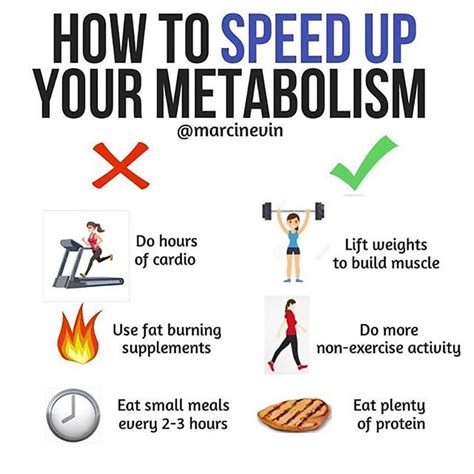 How to Speed Up My Metabolism | POPSUGAR Fitness