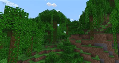 What Is the Rarest Biome in Minecraft?