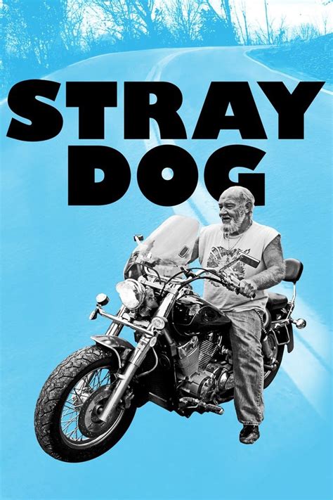 Stray Dog | Rotten Tomatoes