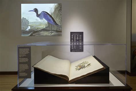 Rare Copy of World’s Most Famous Bird Book on Display in Chicago ...