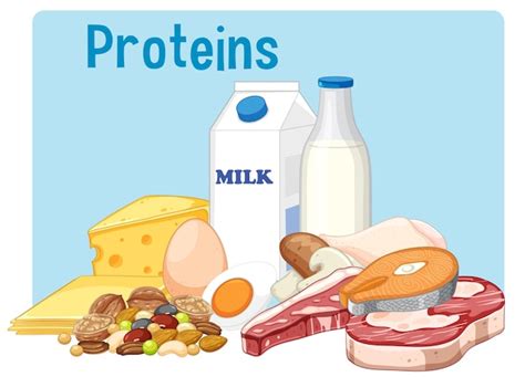 Free Vector | Group of protein food