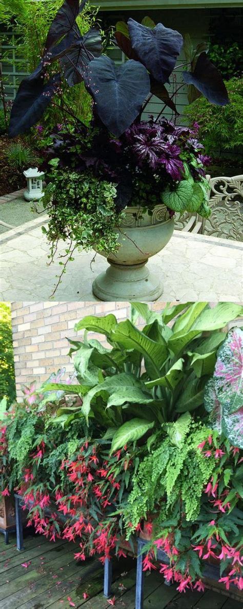 16 Colorful Shade Garden Pots & Plant Lists | Shade plants, Shade ...