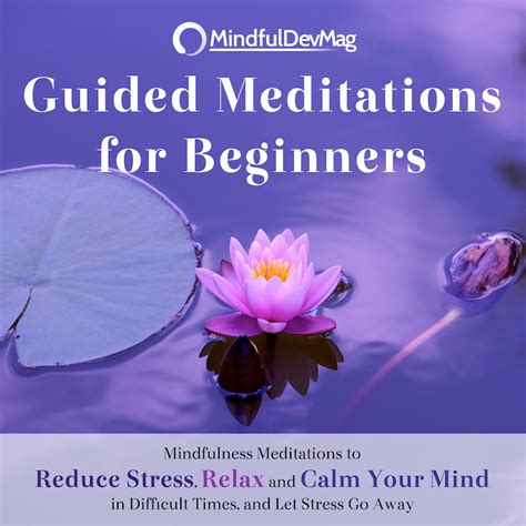 Guided Meditations for Beginners - Female Voice