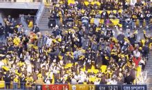 Terrible Towel Wave GIFs | Tenor