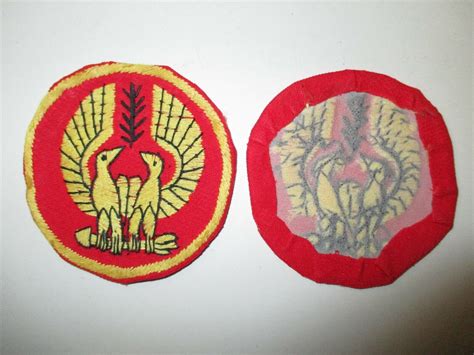 e3245 WW2 Chinese American Volunteer Aviation Group AVG Patch China IR17E | eBay