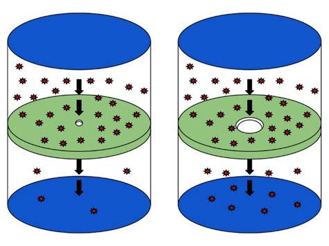 Difference Between Diffusion and Effusion | Compare the Difference Between Similar Terms