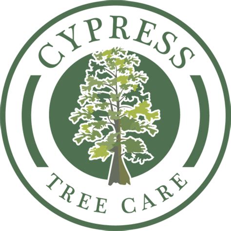 About Cypress Tree Care | Cypress Tree Care