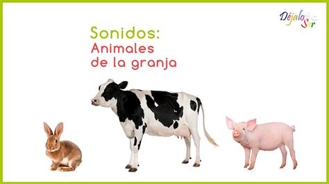 Sonidos: Animales de la granja - YouTube