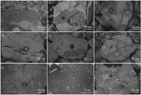 Examples of magmatic inclusions from different lava flows. Inclusions ...