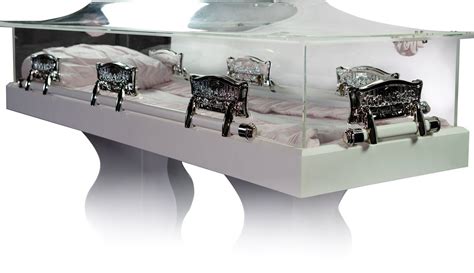 Platinum Collection — Clear View Caskets in 2020 | Casket, Funeral ...