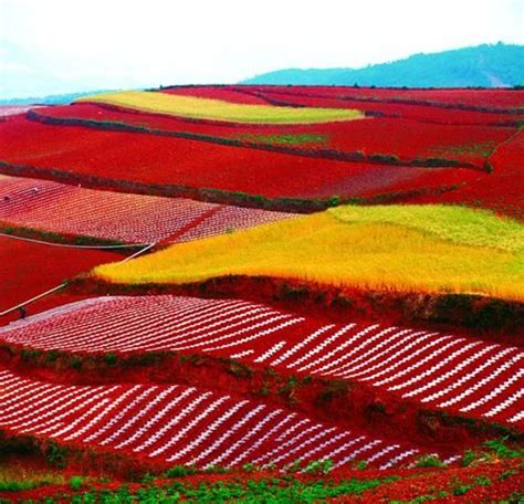 Dongchuan Red Land, Red Earth in Dongchuan Kunming | Kunming, China ...