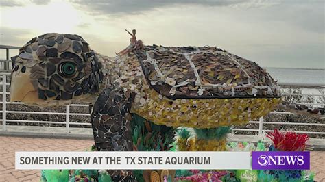 New exhibit coming to Texas State Aquarium | kiiitv.com in 2021 | Sculpture art, Exhibition ...