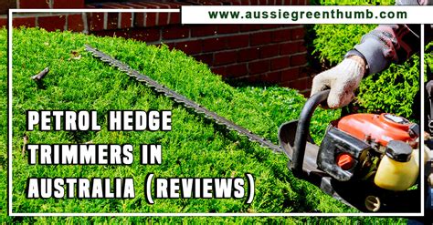 Best Petrol Hedge Trimmers in Australia (2024 Reviews)