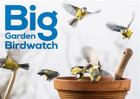 RSPB Big Garden Birdwatch 2022 - Life Publications