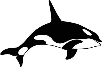 Killer Whale Silhouette at GetDrawings | Free download