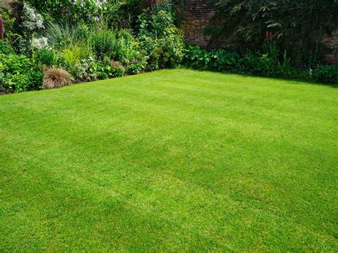 Lawn Care Tips This Spring: Our Ultimate Guide