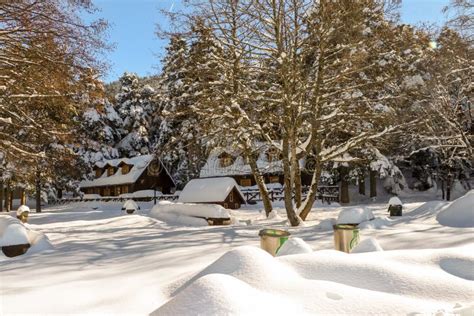 Golcuk / Bolu / Turkey, Winter Season Snow Landscape Stock Image ...