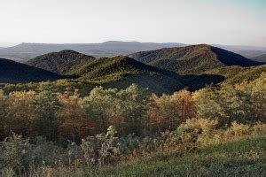 5 Stunning Shenandoah Hiking Trails to Experience