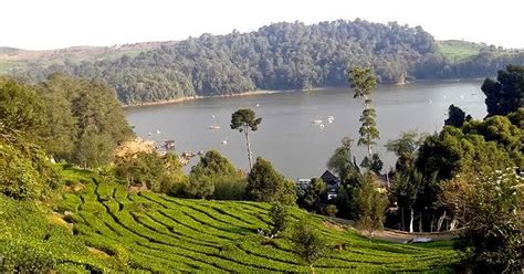 Situ Patenggang, Wonderful Lake in Ciwidey Bandung