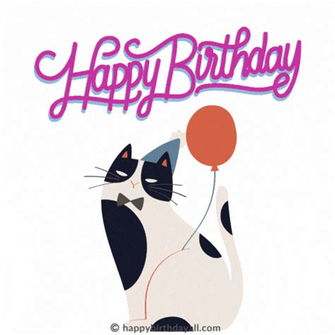 Happy Birthday Cat GIFs Download - Cute & Funny