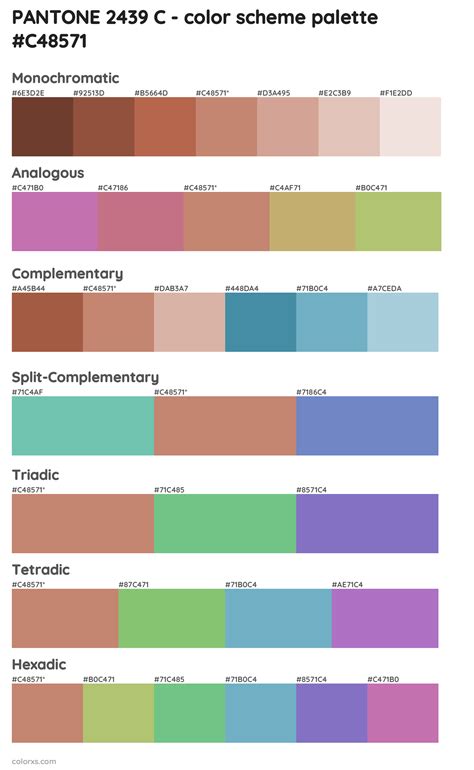 PANTONE 2439 C color palettes - colorxs.com