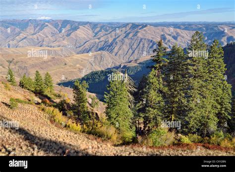 View from Hells Canyon Overlook, Oregon, USA Stock Photo - Alamy