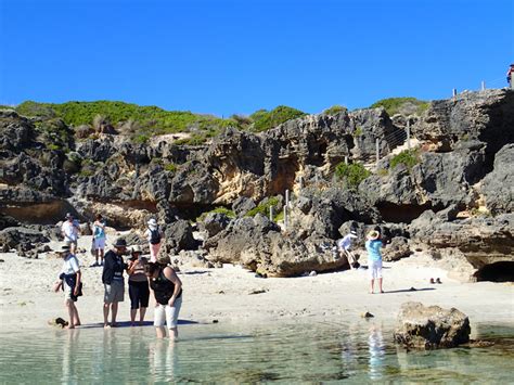 Kangaroo Island Tours | 2022 Kangaroo Island Bus Tours | Adelaide Tours