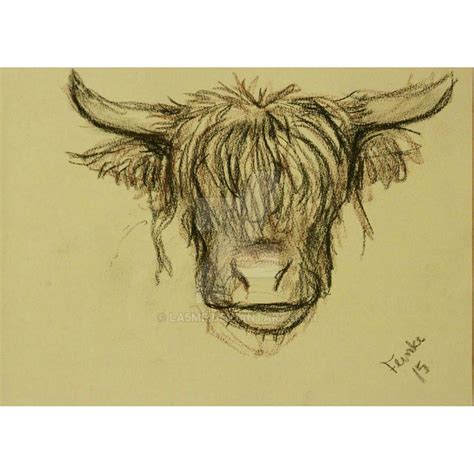 Scottish highland cattle by la5me on DeviantArt