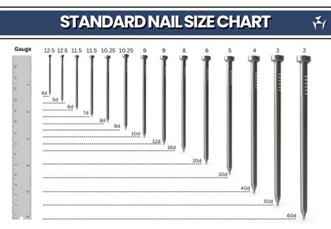 Standard Nail Size Chart & Nail Terms [PDF] - Design | Engineering