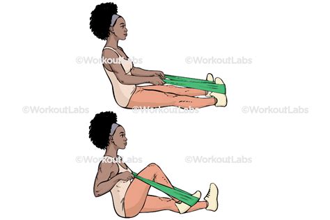 Seated Resistance Knee Flexion – WorkoutLabs Exercise Guide