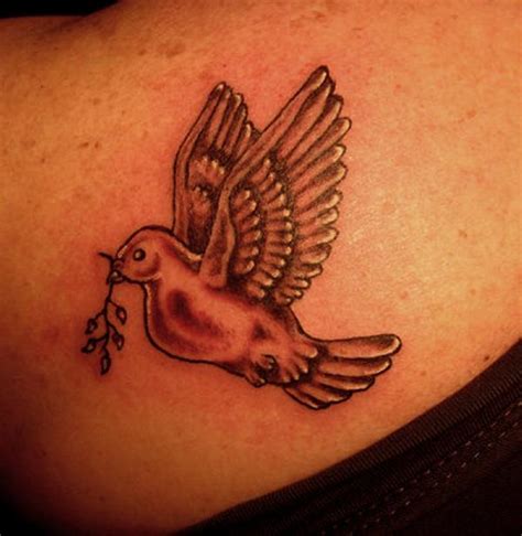 15 Sweet Dove Tattoos