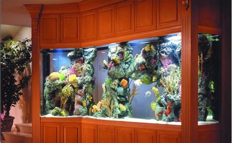 Custom Aquarium Design & Installation Services