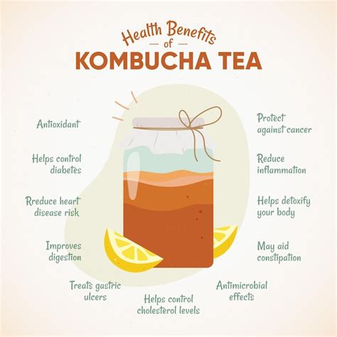 Free Vector | Kombucha tea benefits concept