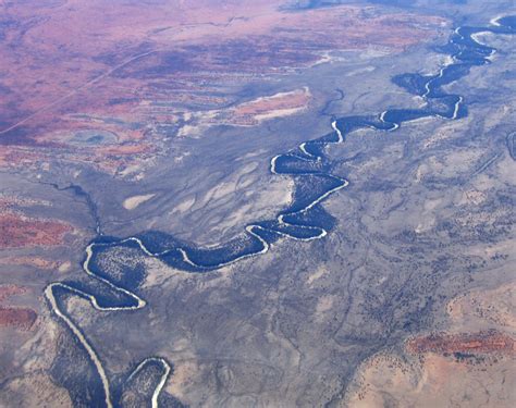 New Fish Kill in Murray-Darling Basin as Emergency Meeting Called in ...