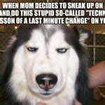 Annoyed Dog Meme Generator - Imgflip