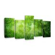 Luscious Green Trees Wall Art | Photography