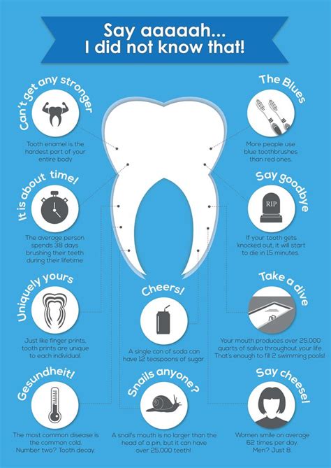 10 Cool Facts About Our Teeth | Dental fun facts, Dental facts, Dental fun