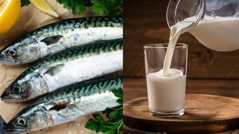 10 Harmful Food Combinations To Avoid - Milk & Fish To Cheesy Foods With Cold Drink And More ...