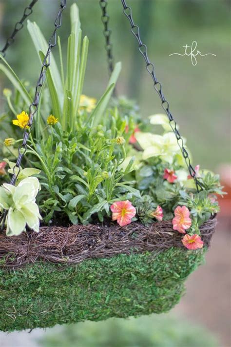 15 Beautiful DIY Ways To Hang Your Plants | Hometalk